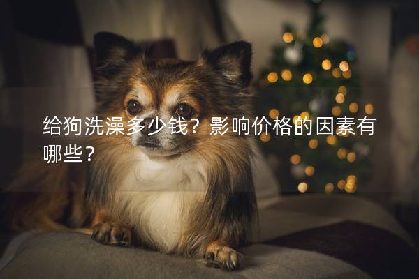 給狗洗澡多少錢？影響價(jià)格的因素有哪些？